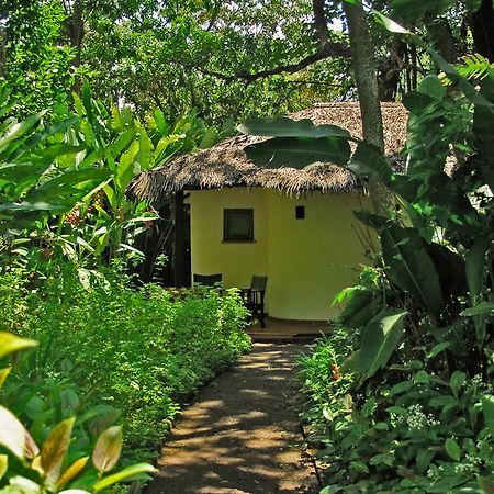 Moivaro Coffee Lodge Arusha Buitenkant foto