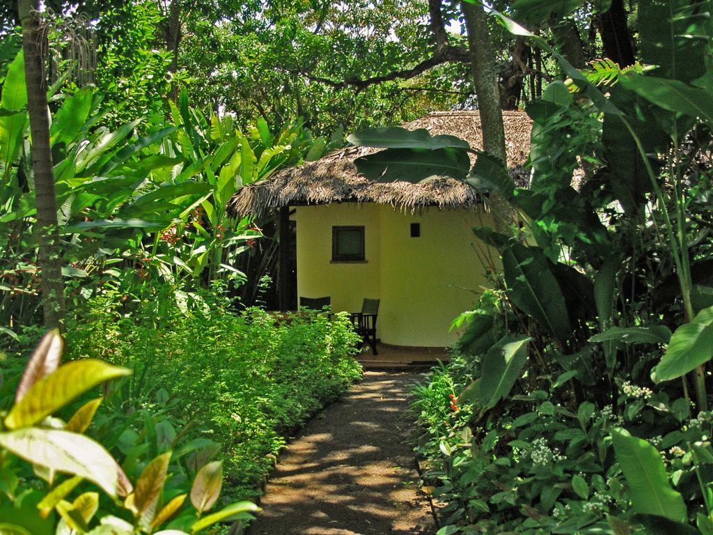 Moivaro Coffee Lodge Arusha Buitenkant foto