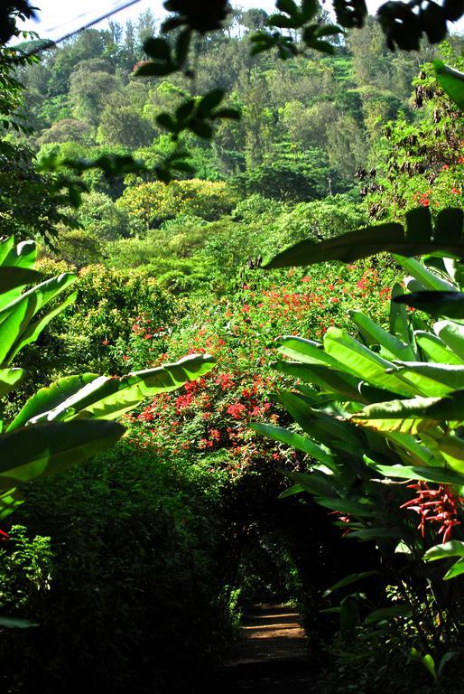 Moivaro Coffee Lodge Arusha Buitenkant foto